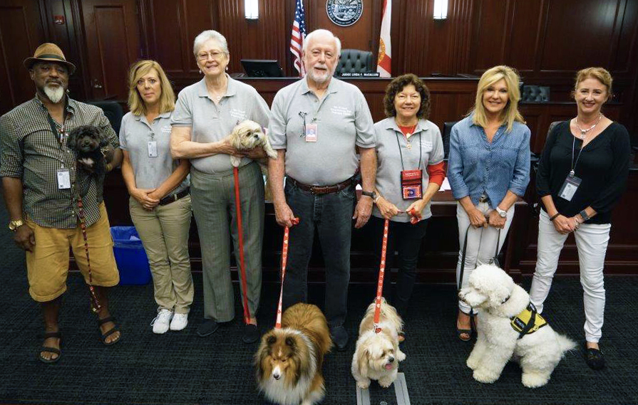 Dogs in the courthouse